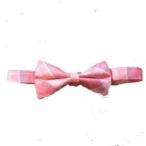 Silk Bow Tie (090)